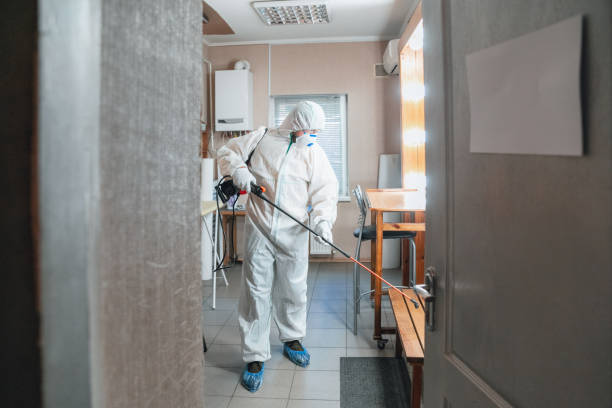 Best Residential Mold Inspection & Testing  in Fetters Hot Springs Agua Liente, CA