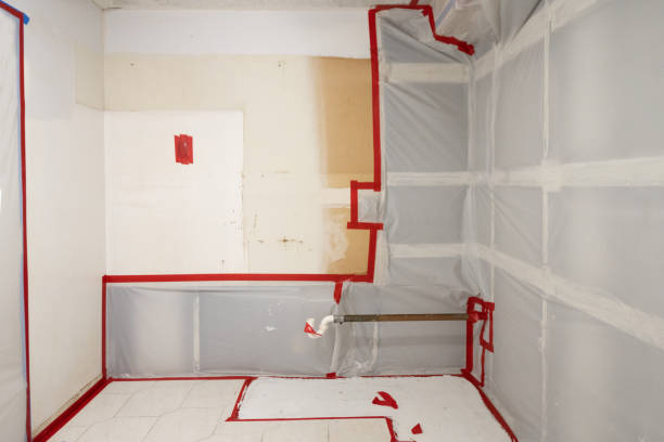 Best Mold Remediation for Healthcare Facilities  in Fetters Hot Springs Agua Liente, CA