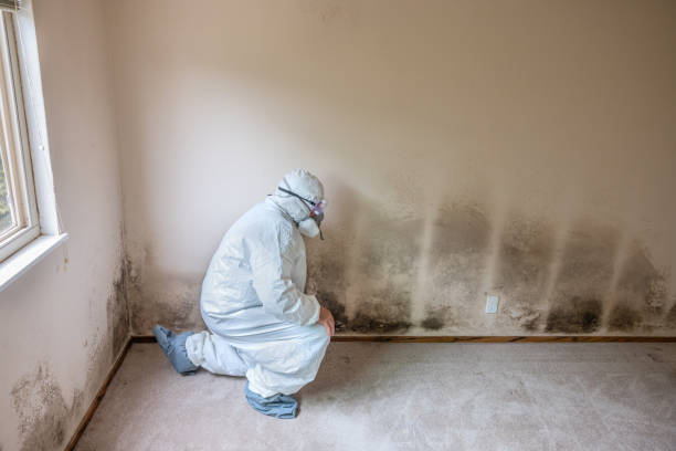 Best Crawl Space Mold Remediation  in Fetters Hot Springs Agua Liente, CA